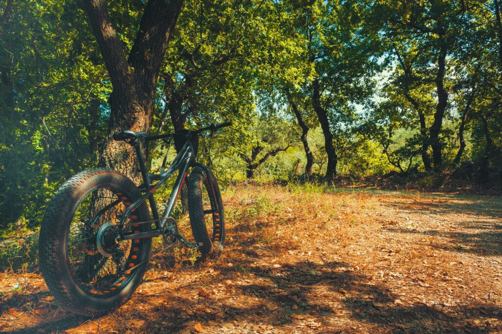 Location vélo électrique Landes Fat Bike